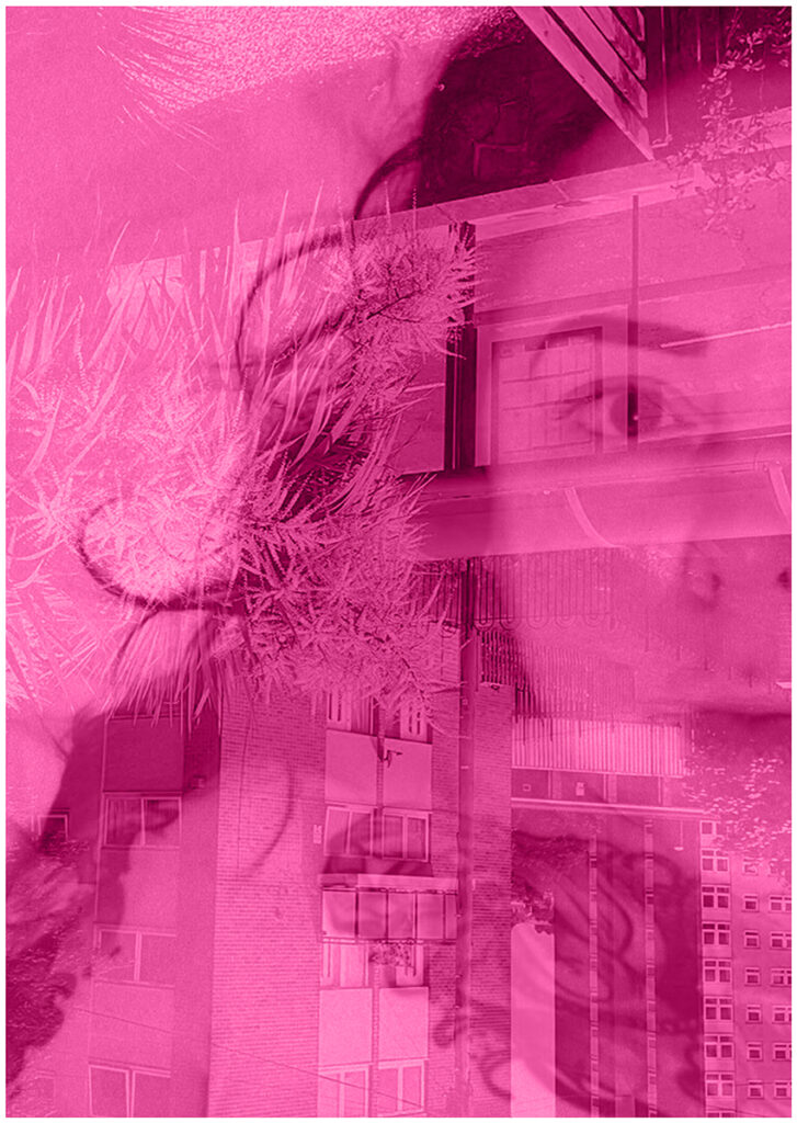 Hot pink tint on A2 portrait sized black and white image of one half of a woman’s face shown facing the camera, justified to the right of the image. An upside down image of buildings including high rise flats is overlaid.